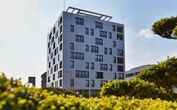 Bürogebäude mit 10.000qm als Vollholz-Konstruktion