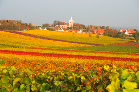 Bockenheim