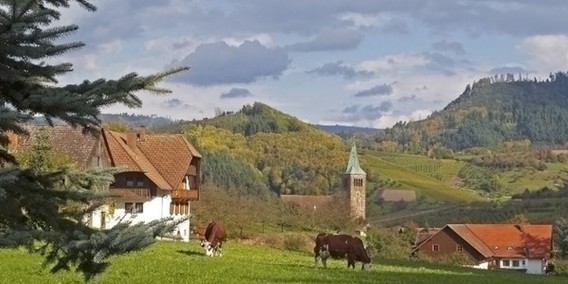 Oberkirch-Ödsbach