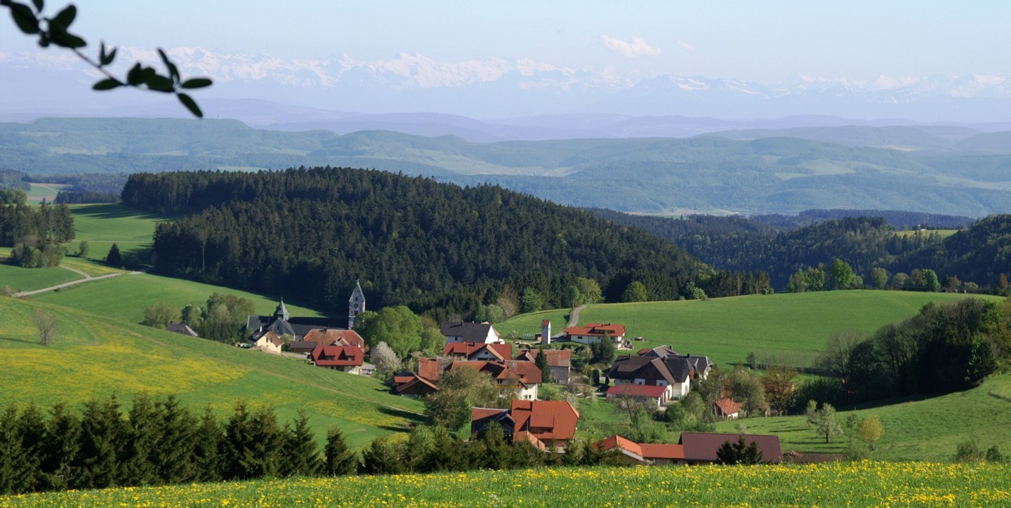 Dachsberg-Hierbach