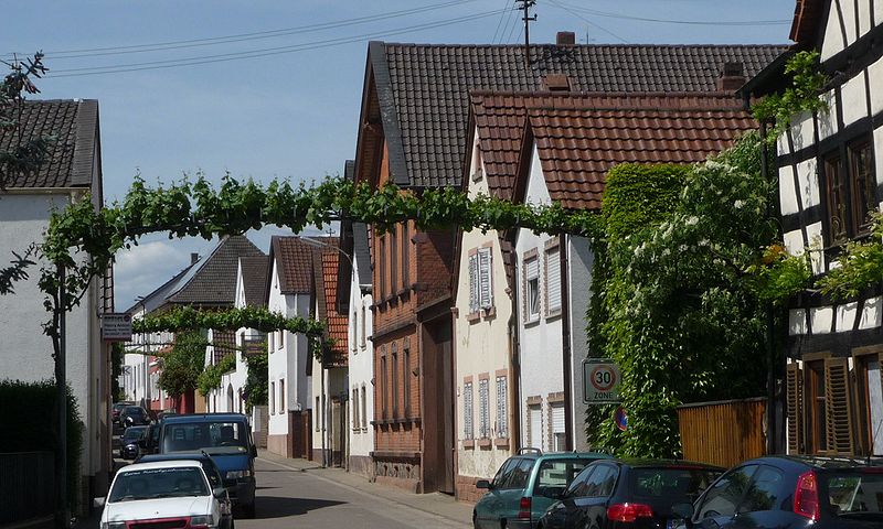 Ellerstadt