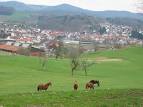 Mörlenbach
