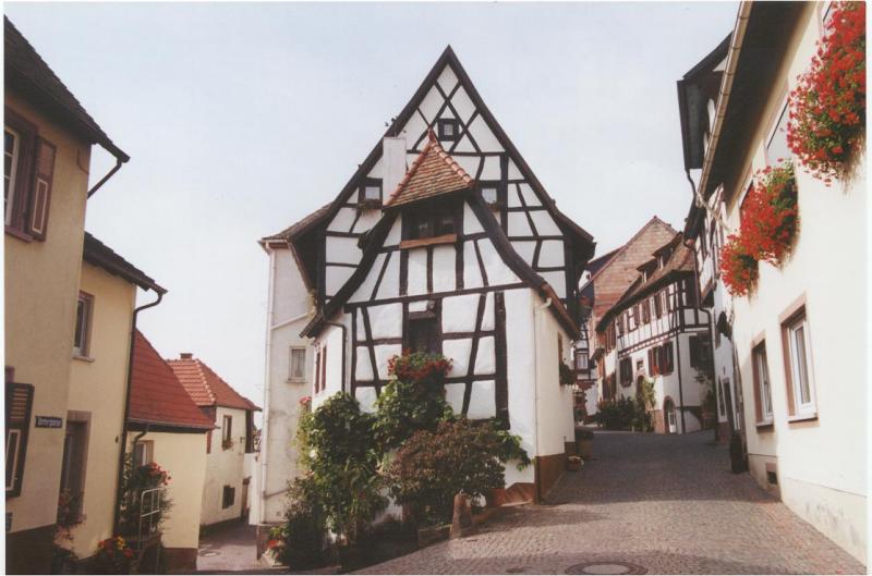 Neuleiningen